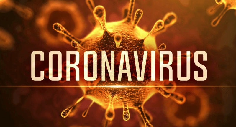 This is photograph of what is purported to be what the coronavirus looks like.