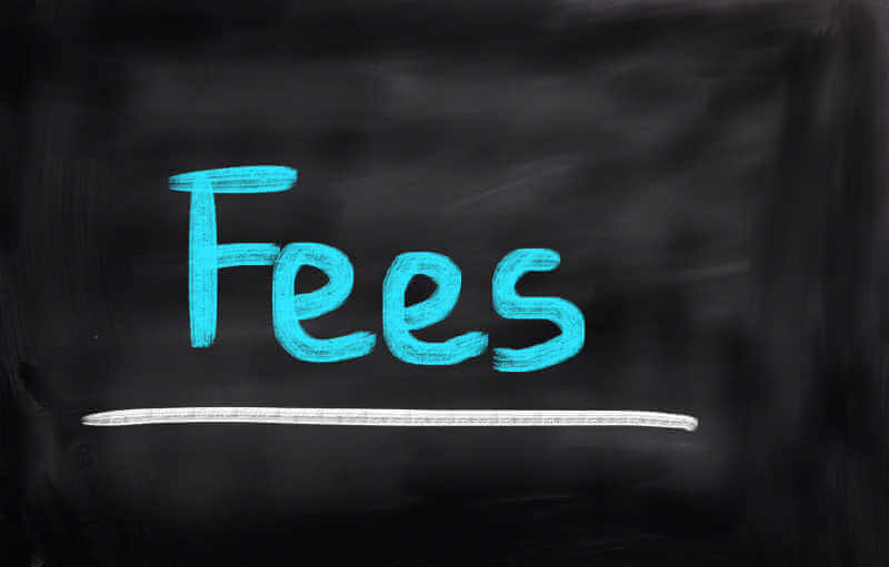 This is a photo of the word "fees." The word is written on a blackboard in blue chalk color.