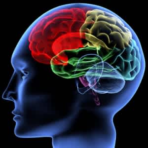 The Importance of Visual Aids in Your Brain Injury Case